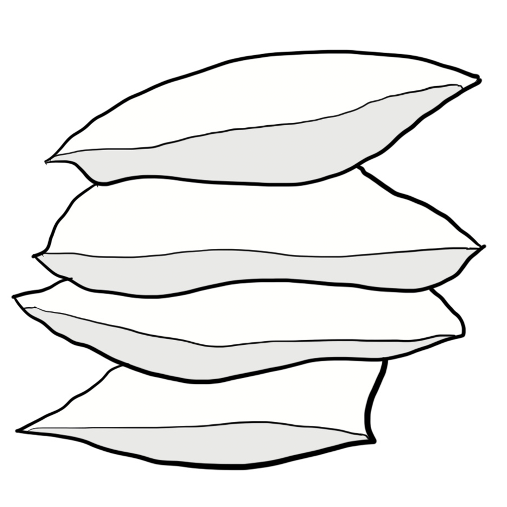 Chloe and Olive Pillow Insert Size Guide