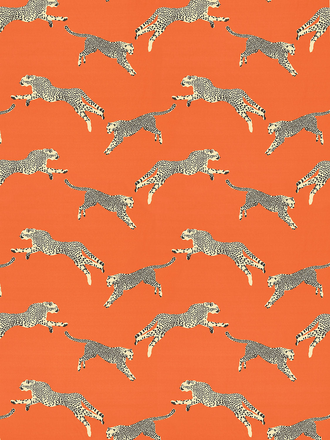 Leaping Cheetah Clementine Pillow Cover