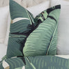 Scalamandre Hinson Palm Green Banana Leaf Botanical Designer Throw Pillow Cover Product Video