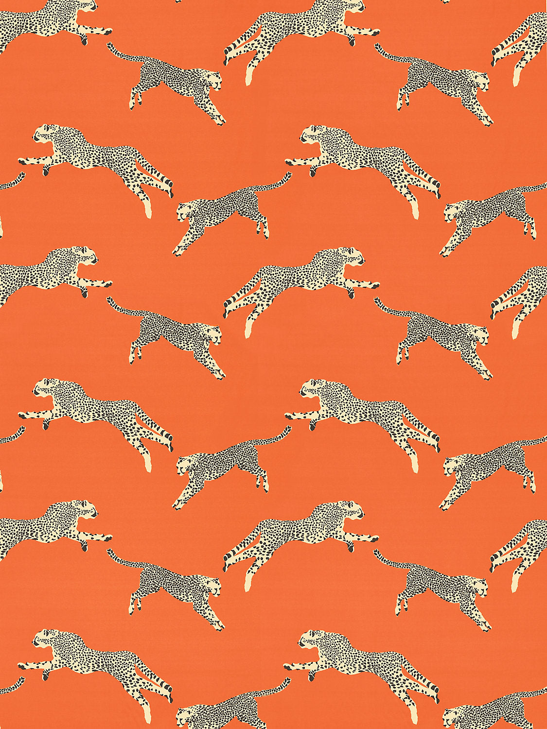 Leaping Cheetah Clementine Pillow Cover
